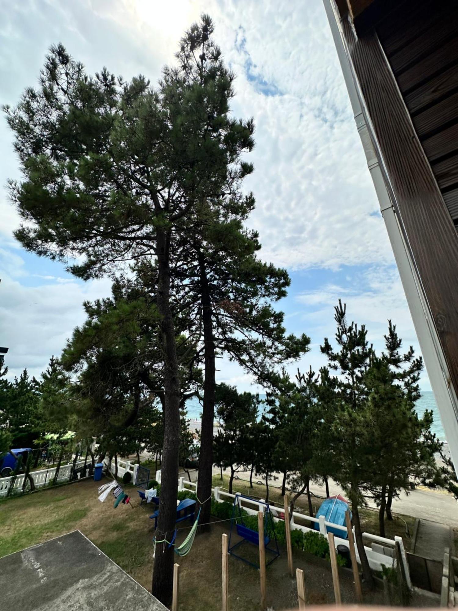 Hotel Black Sea 코불레티 외부 사진